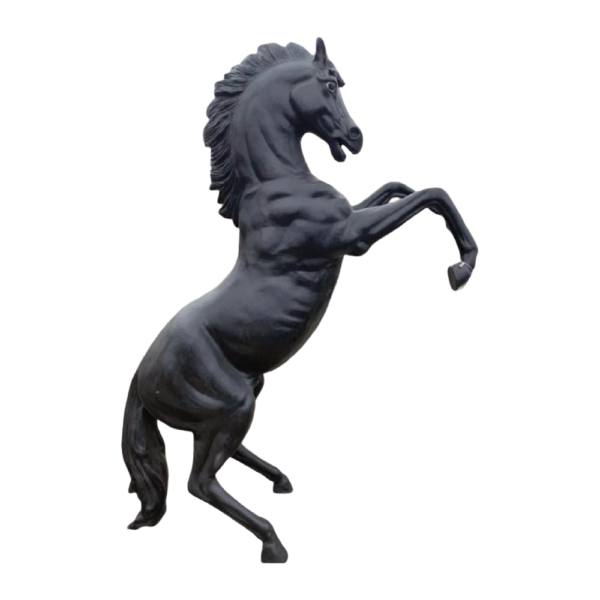 Royal Horse Rearing