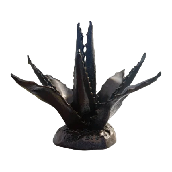 Small Agave