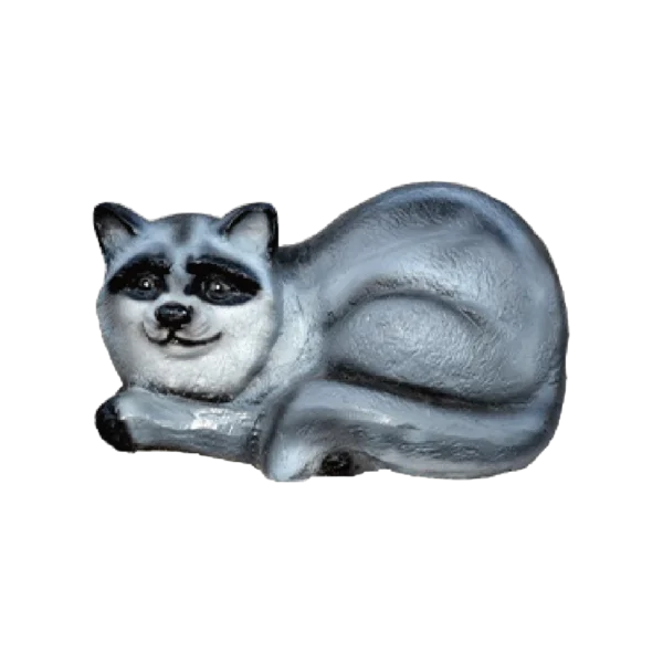 Racoon