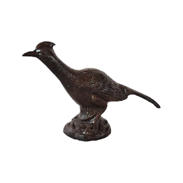Roadrunner