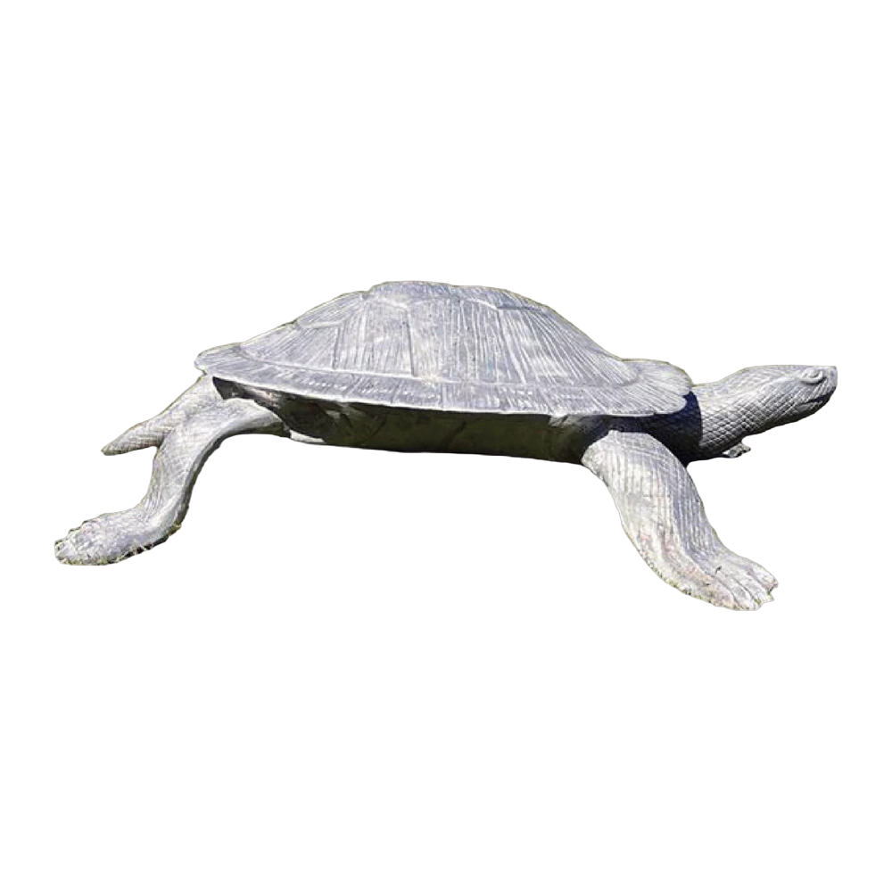 Giant Cooter Turtle
