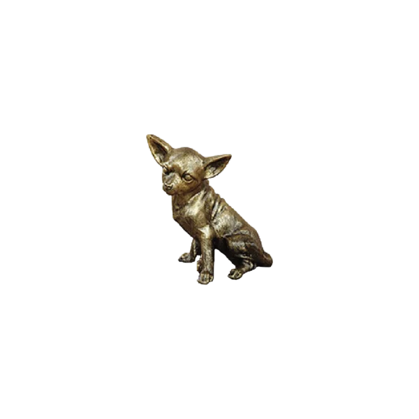 Sitted Chihuahua