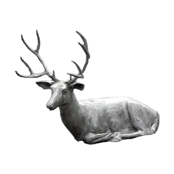 Lying Large Buck