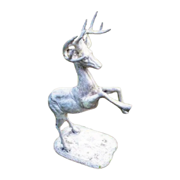 Small Deer Buck Jumping