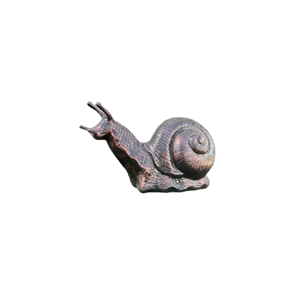 Snail